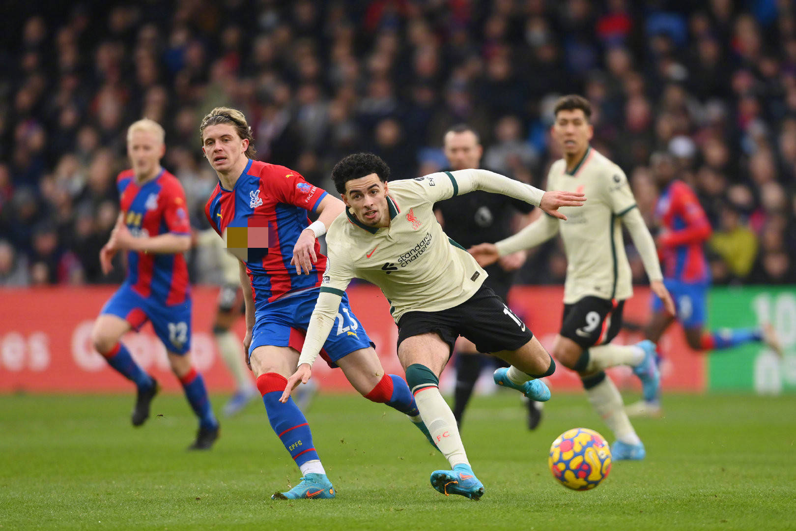 无论是在皇 无论是在皇